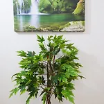 Hotel Duro