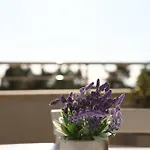 Duro Hotel Golem (Tirana)
